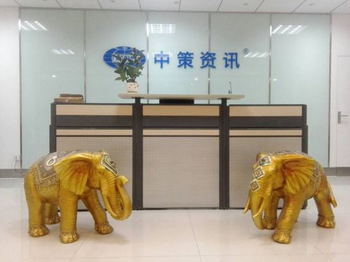 西安中策土地评估有限责任公司